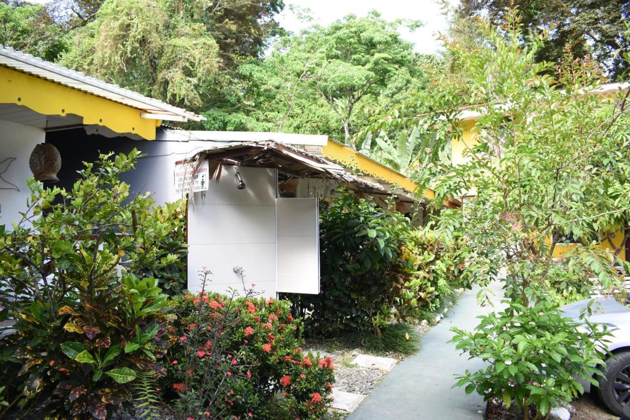 ホテル Cabinas Ole Caribe Puerto Viejo de Talamanca エクステリア 写真