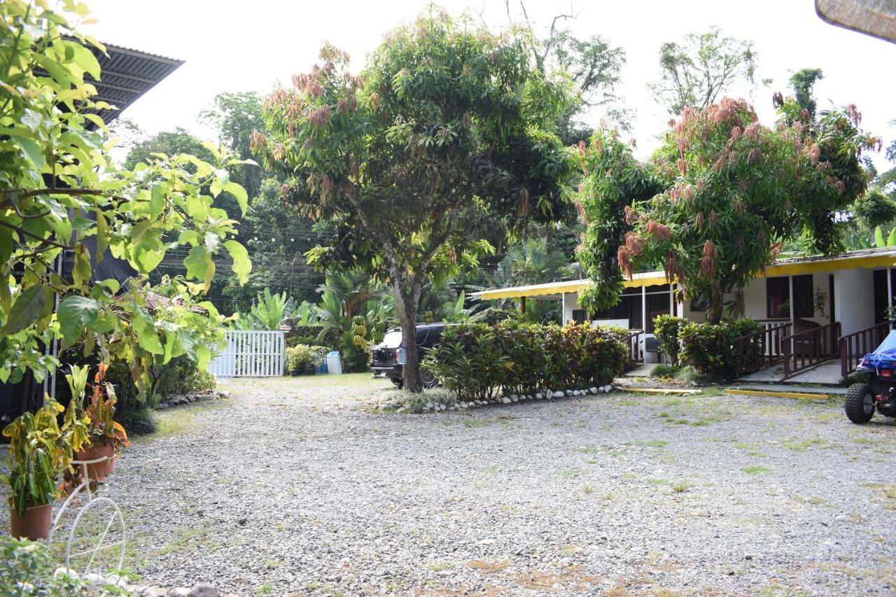 ホテル Cabinas Ole Caribe Puerto Viejo de Talamanca エクステリア 写真