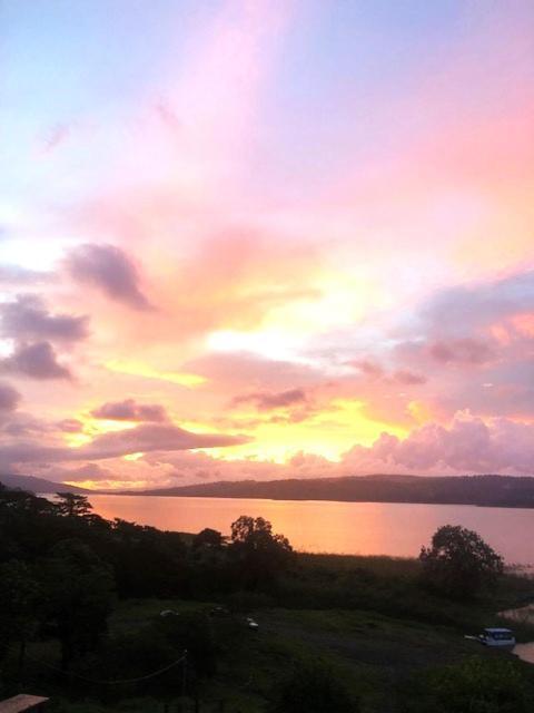 Cabinas Ole Caribe Puerto Viejo de Talamanca エクステリア 写真