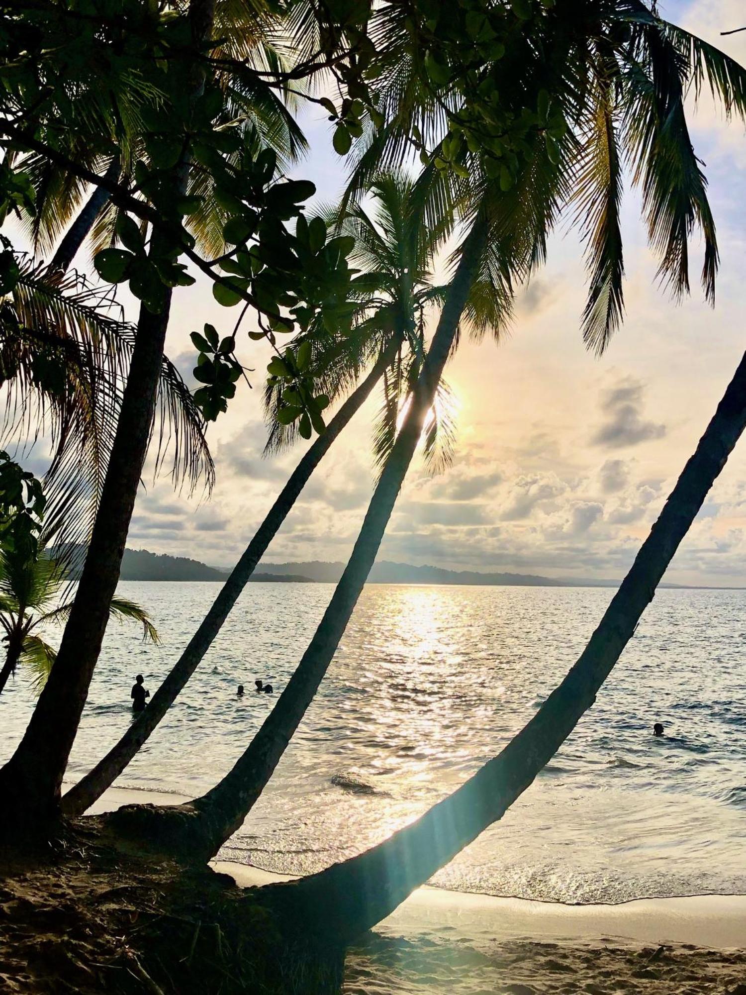 ホテル Cabinas Ole Caribe Puerto Viejo de Talamanca エクステリア 写真