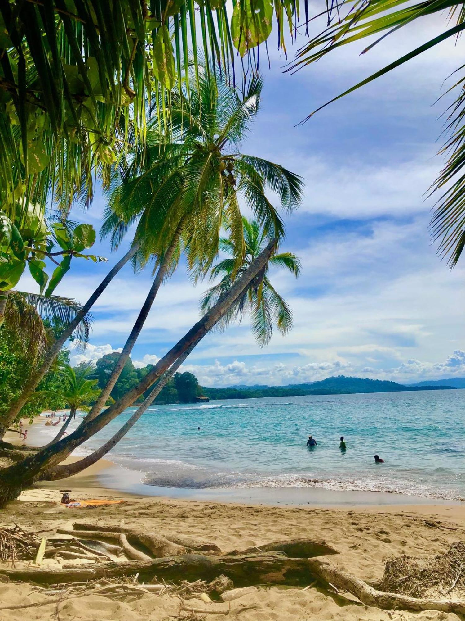 ホテル Cabinas Ole Caribe Puerto Viejo de Talamanca エクステリア 写真