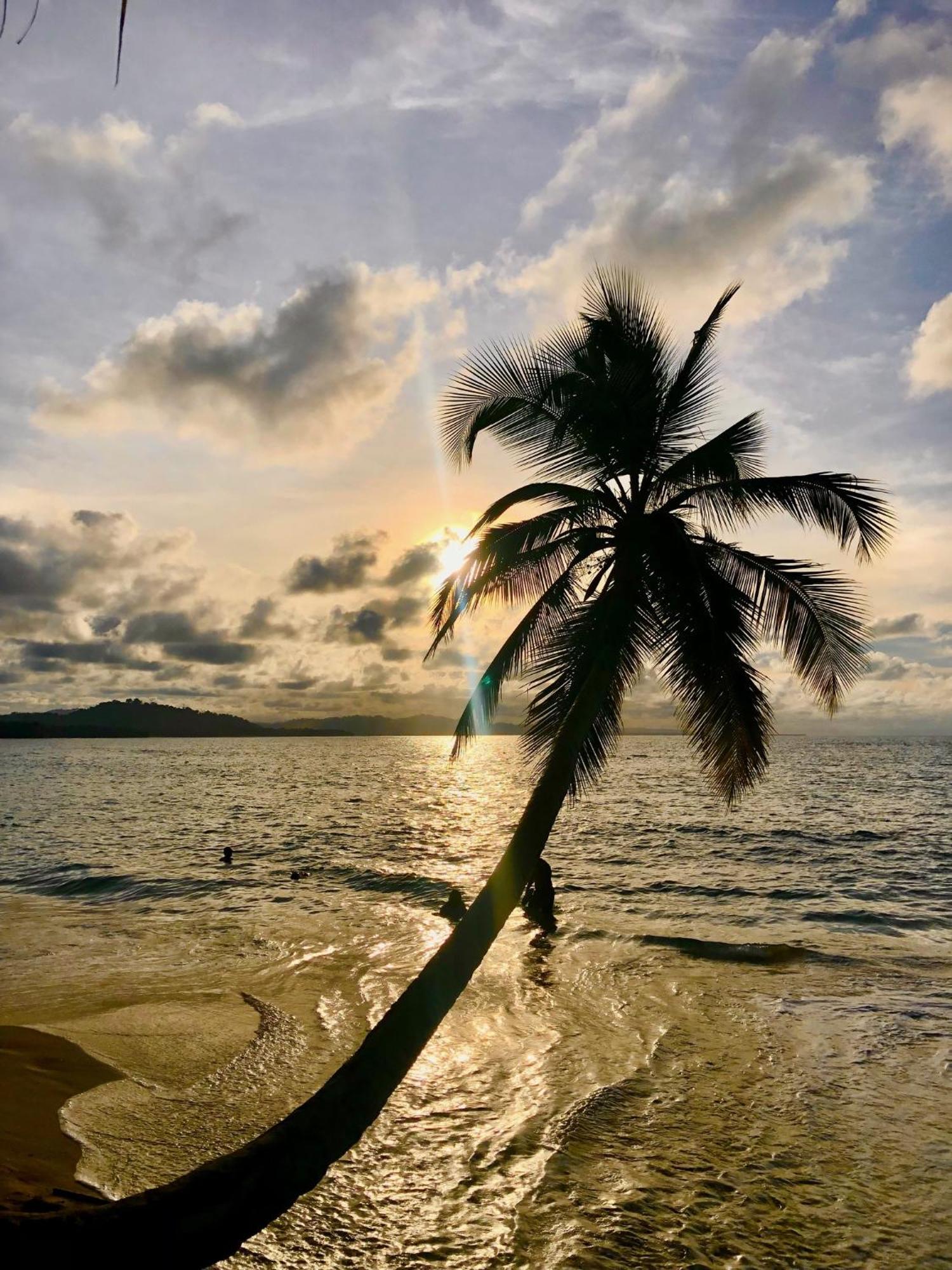 ホテル Cabinas Ole Caribe Puerto Viejo de Talamanca エクステリア 写真