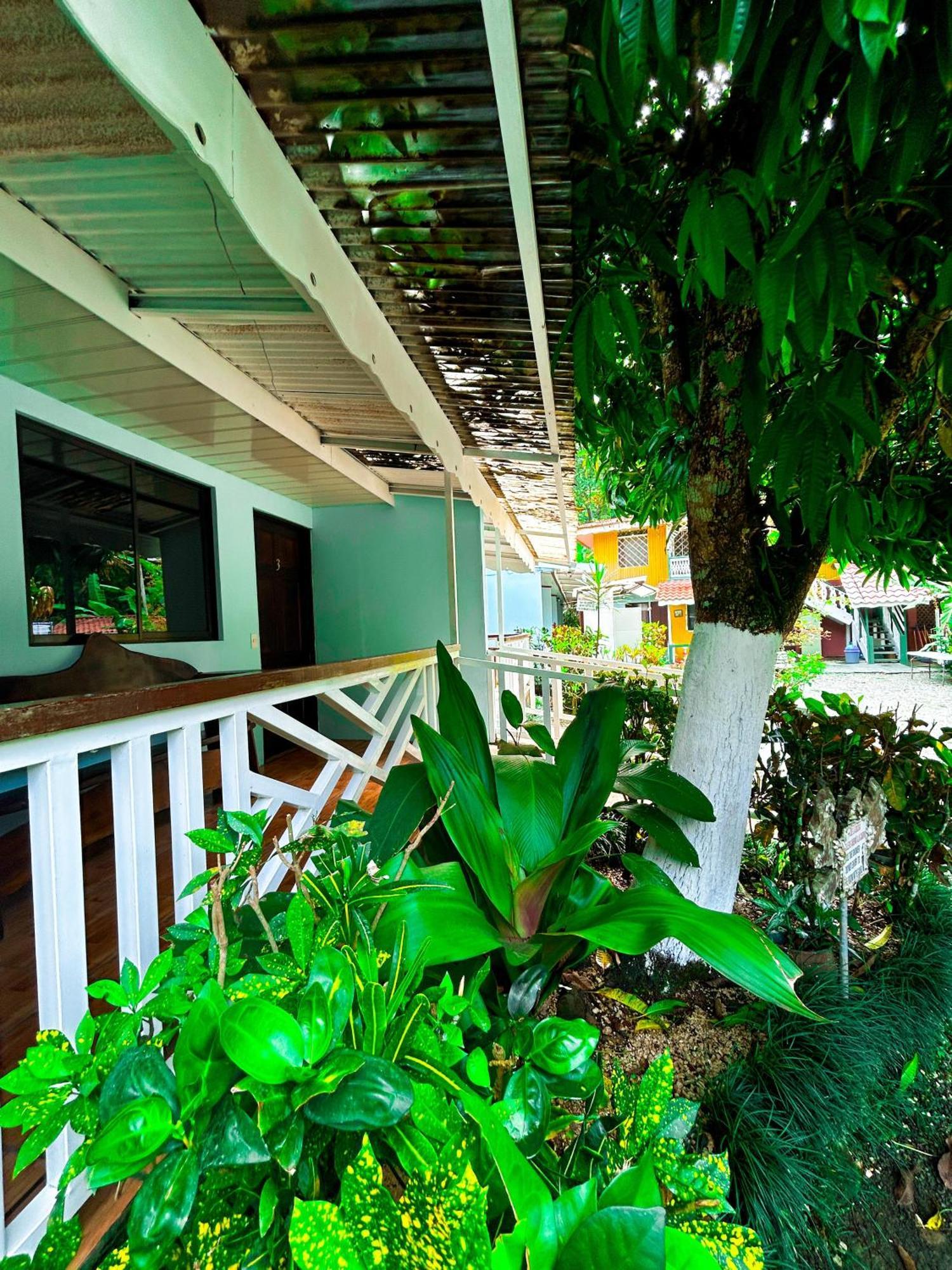 Cabinas Ole Caribe Puerto Viejo de Talamanca エクステリア 写真